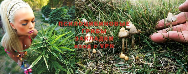 COCAINE Арсеньев